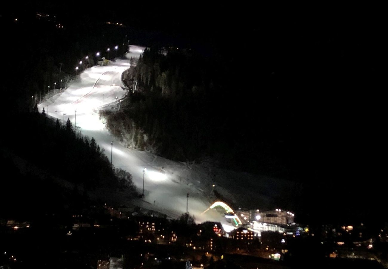 Ferienwohnung in Schladming - Planaiblick-Lodge