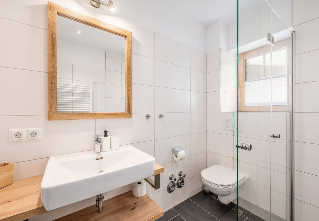 Ferienwohnung in Schladming - Planaiblick-Lodge
