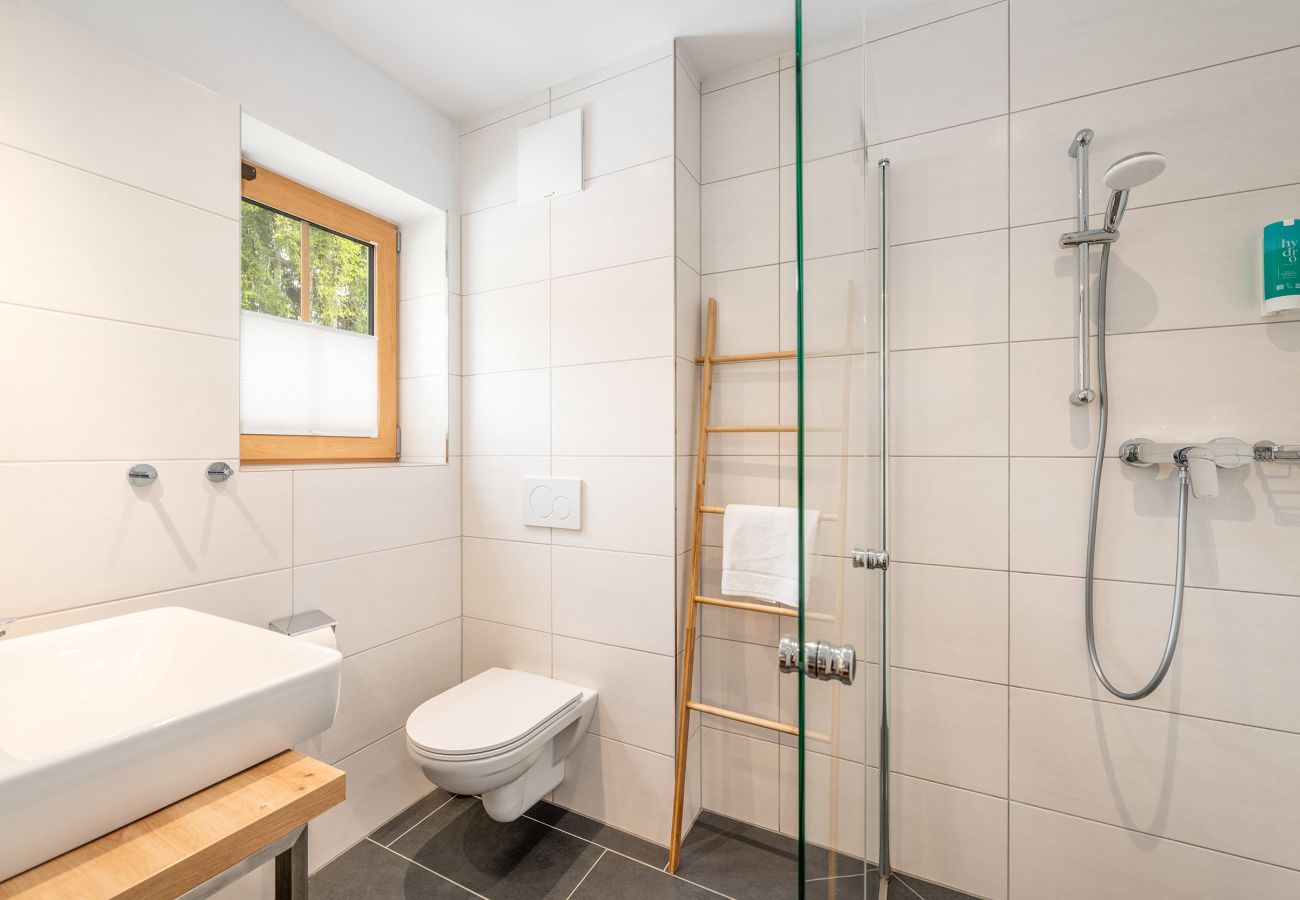 Ferienwohnung in Schladming - Planaiblick-Lodge