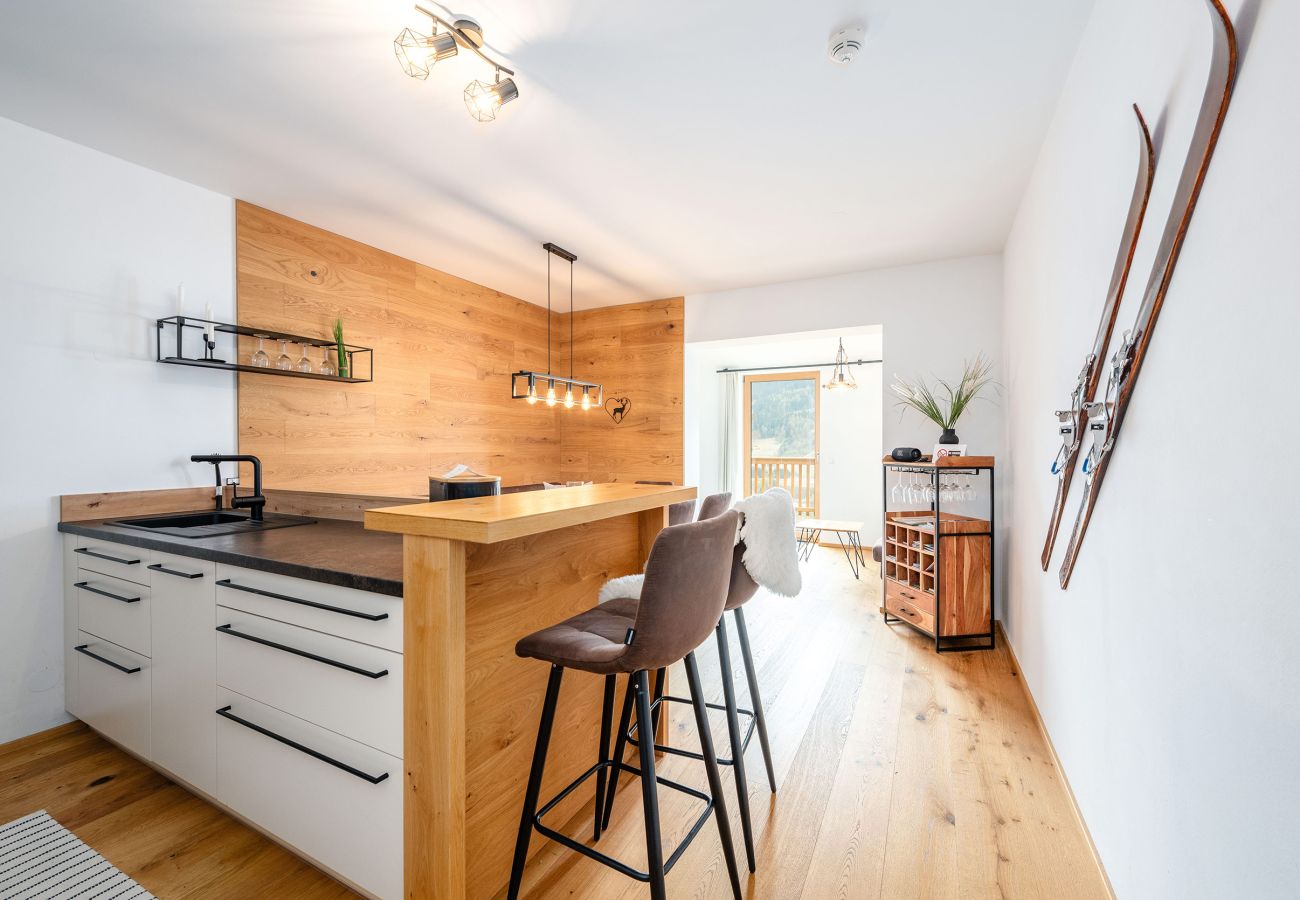 Ferienwohnung in Schladming - Planaiblick-Lodge