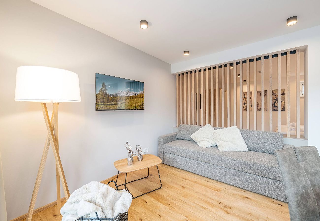 Ferienwohnung in Schladming - Apart Erle 181 (Apartment 2)