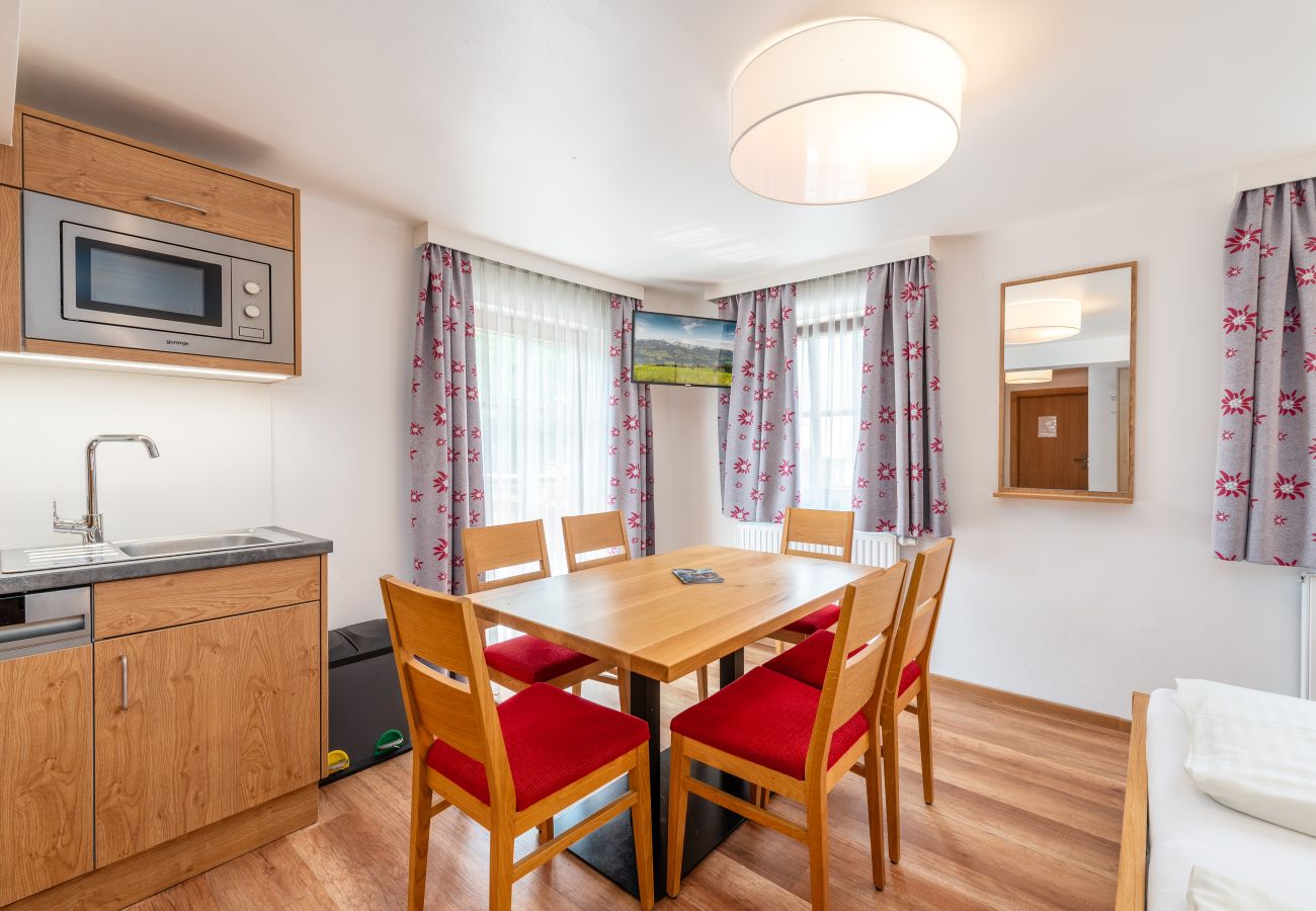 Ferienwohnung in Mitterberg-Sankt Martin - Reisslerhof - Apartment 07 (APP5)