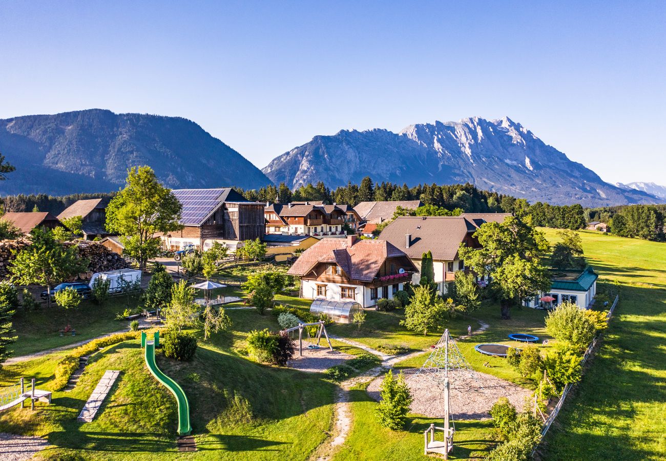 Ferienwohnung in Mitterberg-Sankt Martin - Reisslerhof - Apartment 07 (APP5)