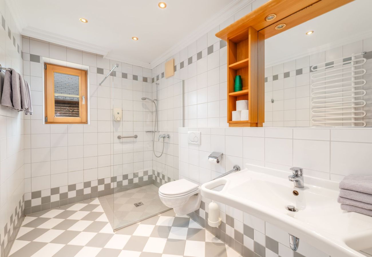 Ferienwohnung in Mitterberg-Sankt Martin - Reisslerhof - Apartment 14 (APP6)