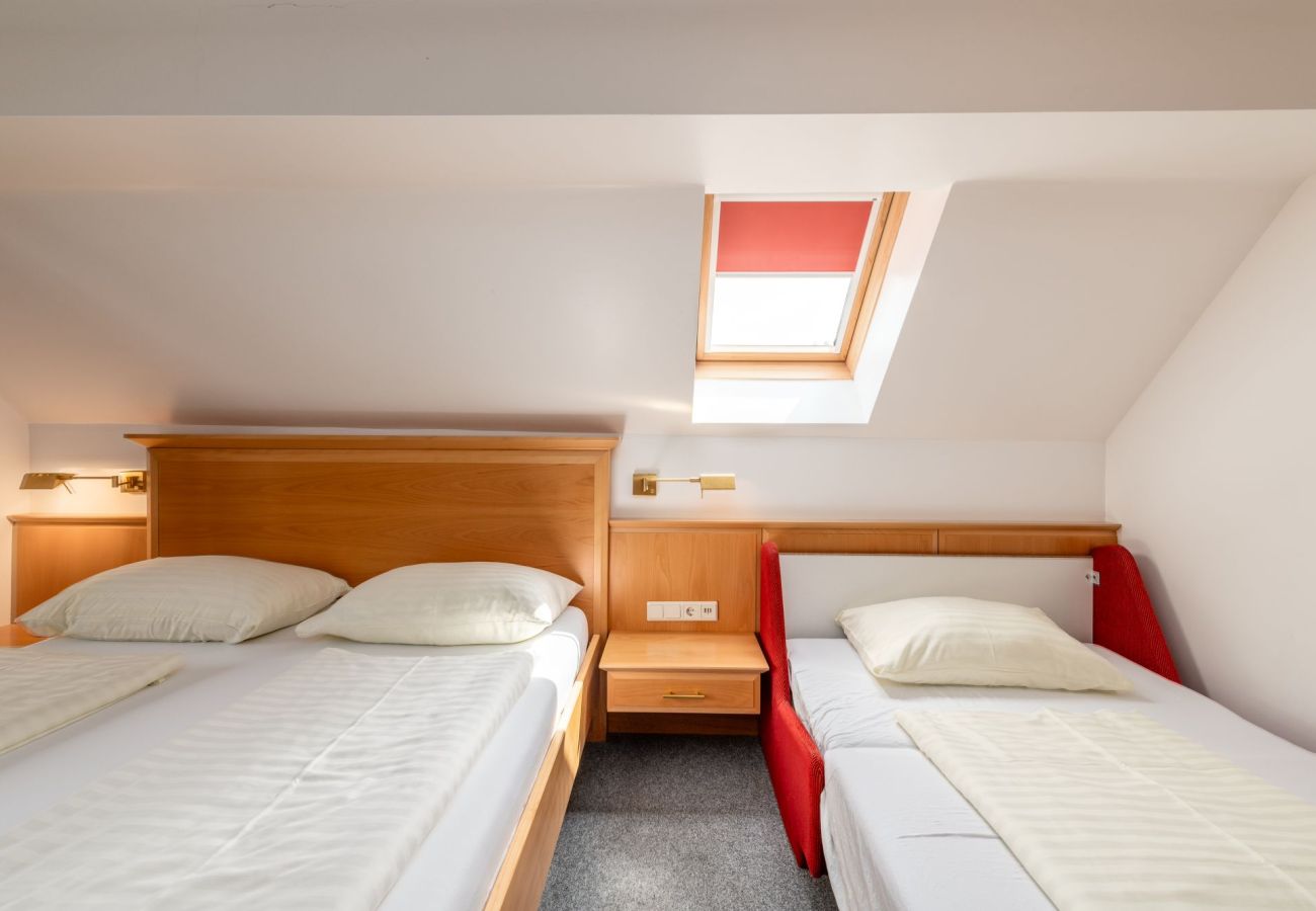 Ferienwohnung in Mitterberg-Sankt Martin - Reisslerhof - Apartment 20 (APP7)