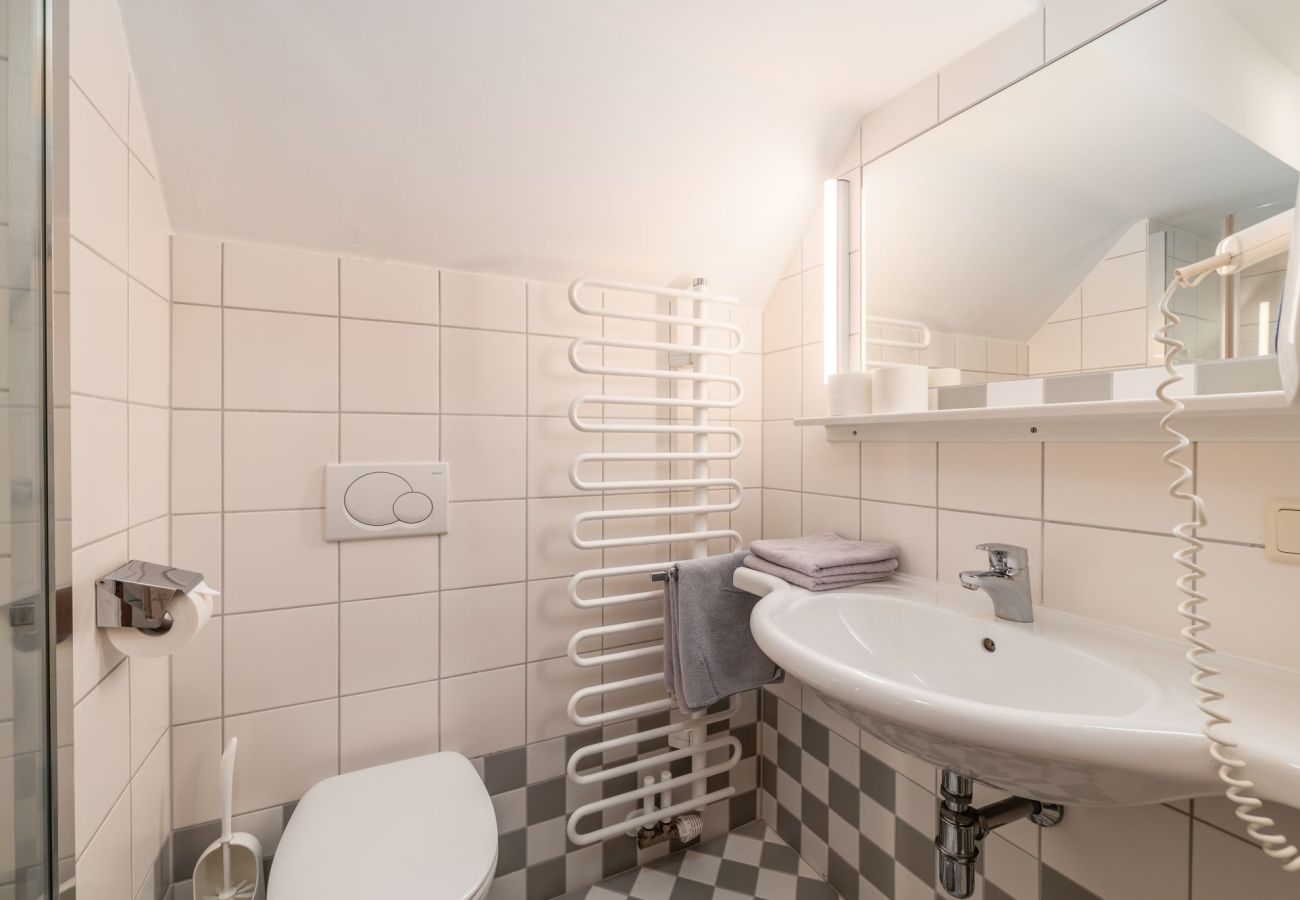 Ferienwohnung in Mitterberg-Sankt Martin - Reisslerhof - Apartment 20 (APP7)