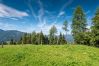 Blockhütte in Schladming - Planai 66 - Bergstube 