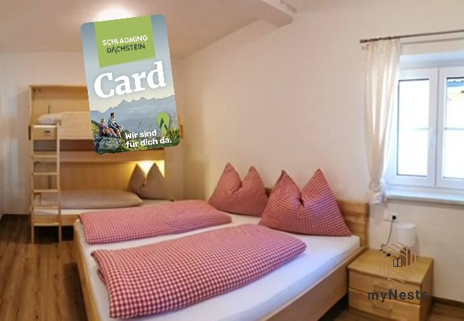 Ferienwohnung in Haus im Ennstal - Apartment zur Jägerin
