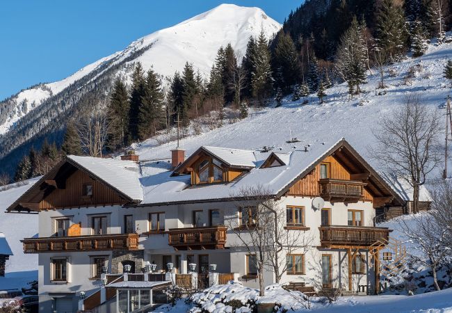 Ferienwohnung in Sölktal - Sölkstub'n - Apartment Talblick