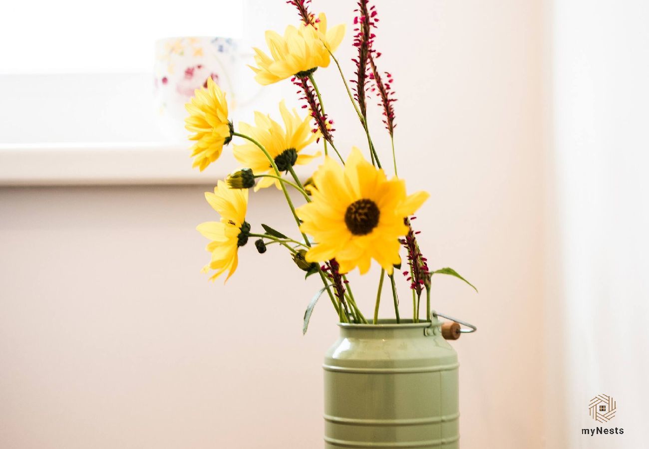 Ferienwohnung in Haus im Ennstal - Gästehaus Erika - Blumen&Wiese