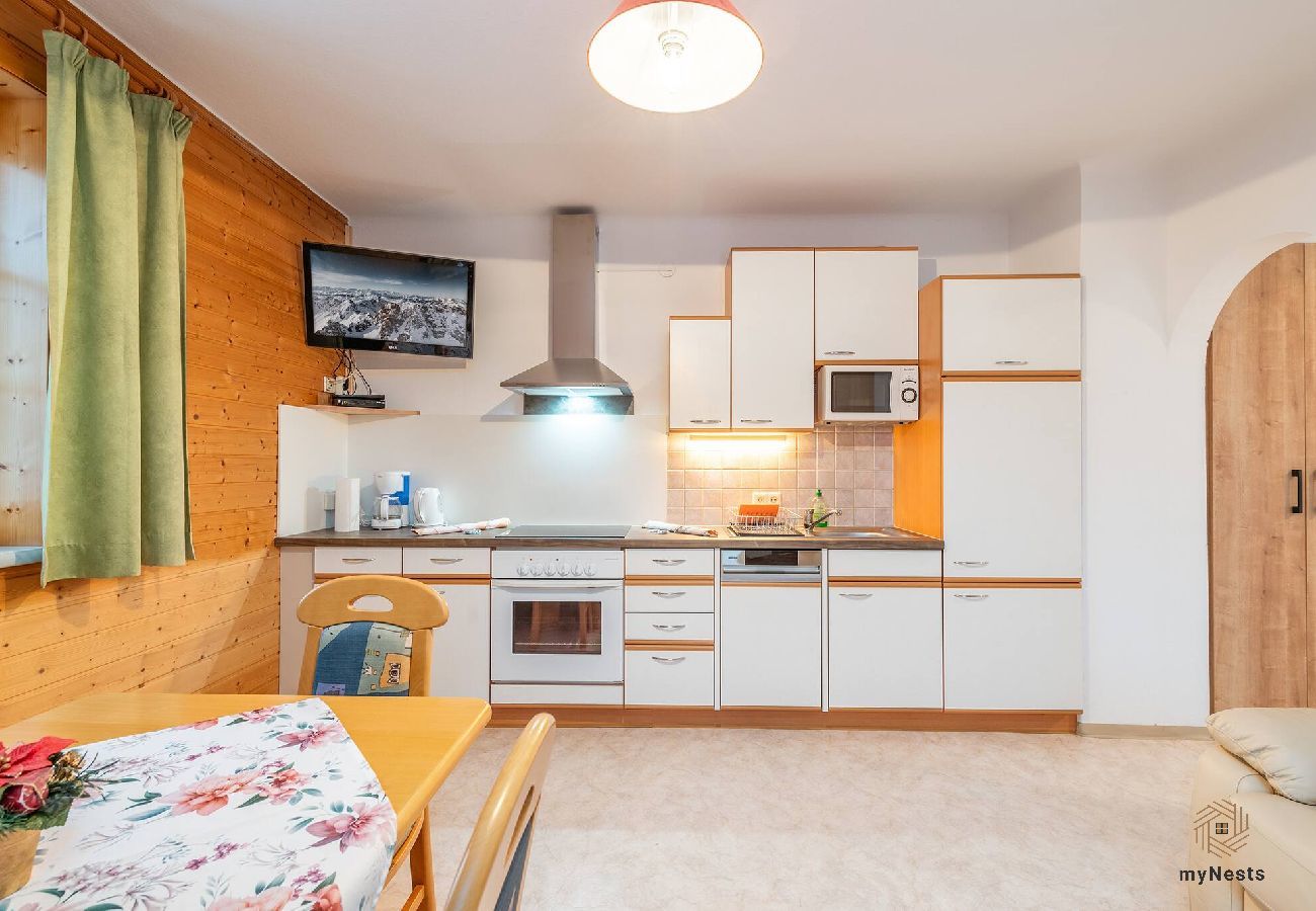 Ferienwohnung in Mitterberg-Sankt Martin - Matzling Apartment 1