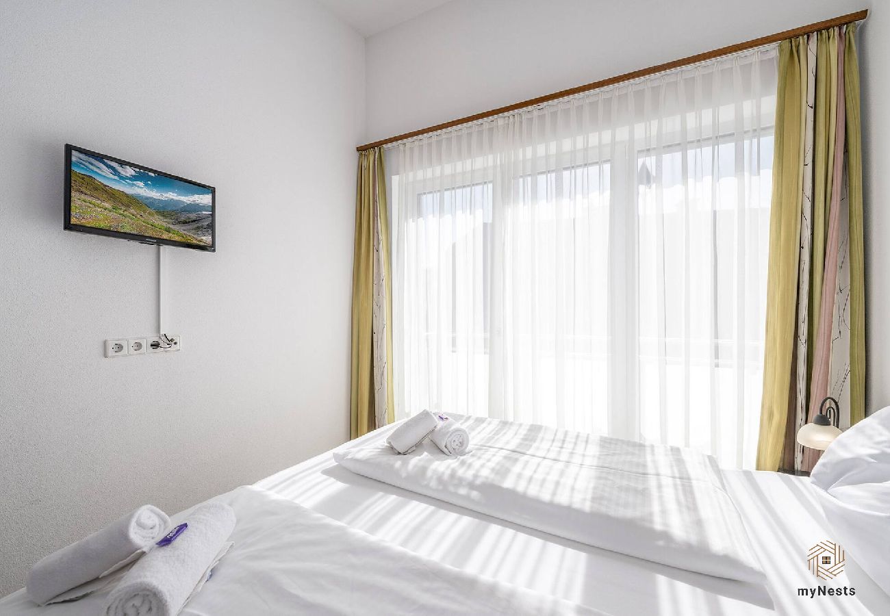 Ferienwohnung in Mitterberg-Sankt Martin - Apartment Fridolin