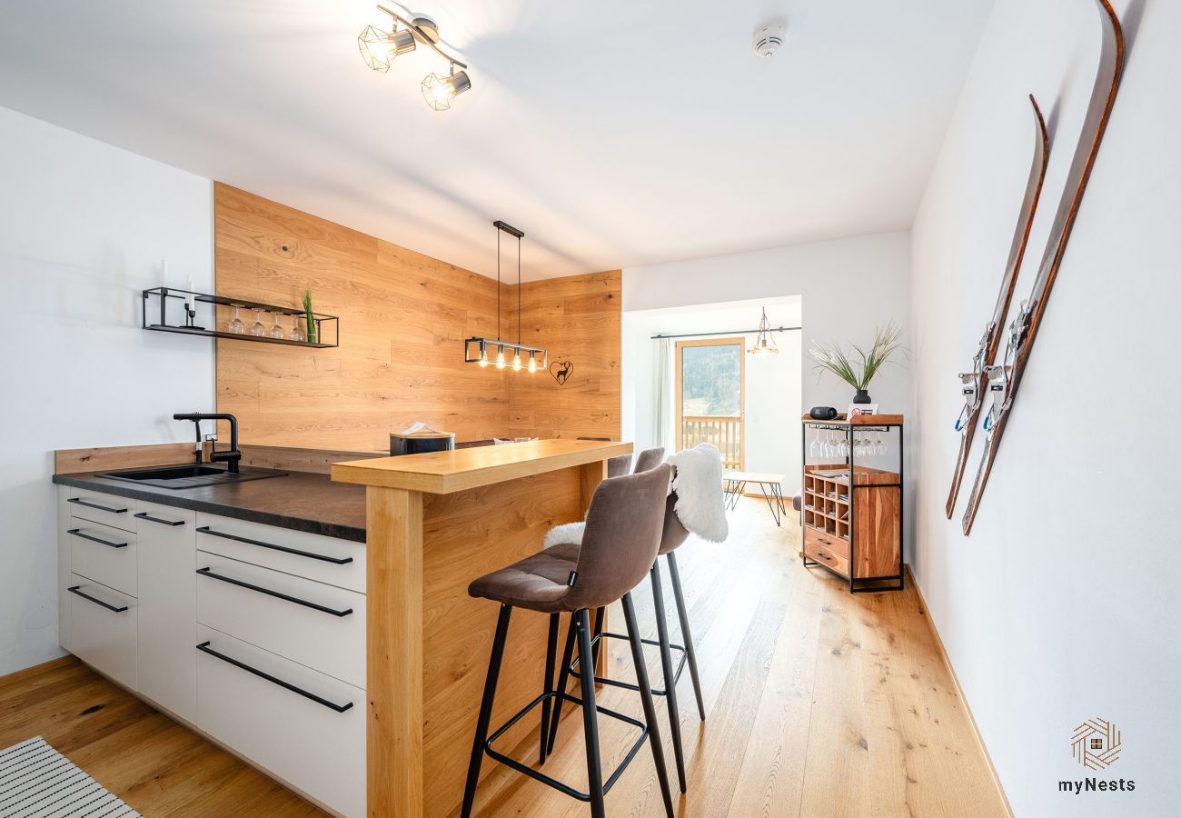 Ferienwohnung in Schladming - Planaiblick-Lodge
