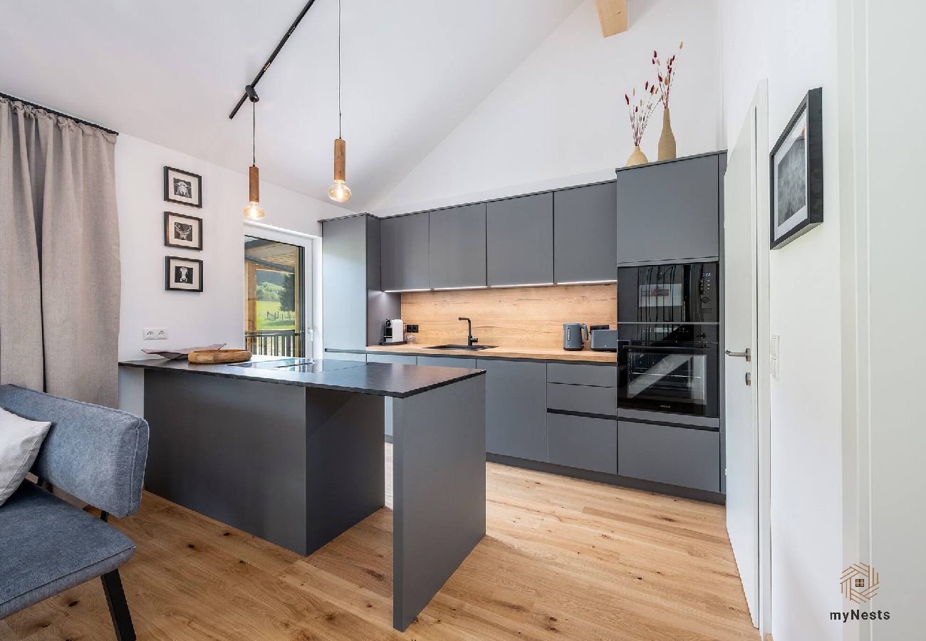 Ferienwohnung in Haus im Ennstal - Wiesenblick Residences - Apartment 13