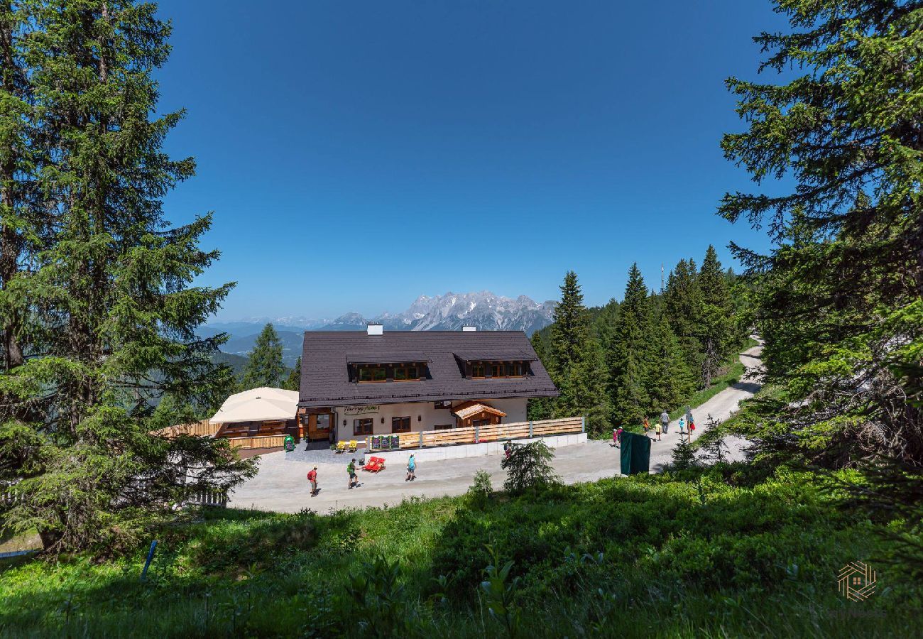 Ferienwohnung in Haus im Ennstal - d’Genussalm - Hauser Kaibling 1