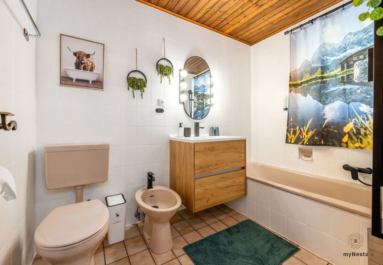 Chalet in Rohrmoos-Untertal - Chalet BergMoment