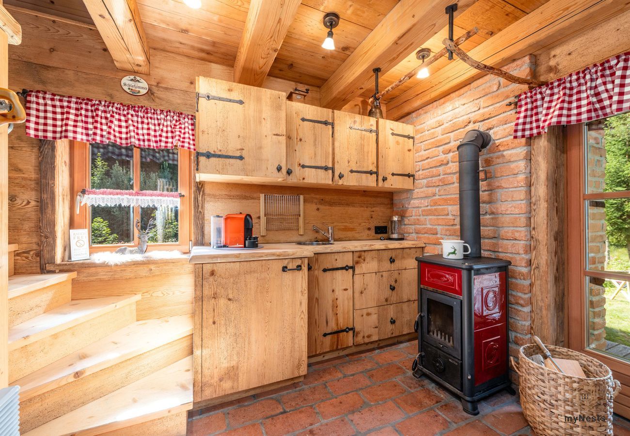 Blockhütte in Haus im Ennstal - Herzstück - Troadkasten am Hauser Kaibling