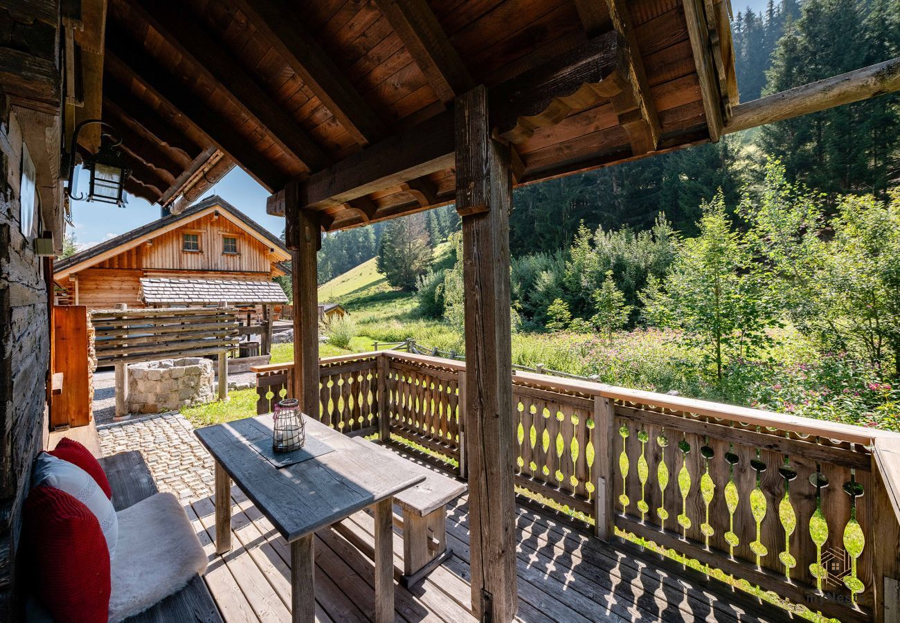 Blockhütte in Haus im Ennstal - Herzstück - Troadkasten am Hauser Kaibling