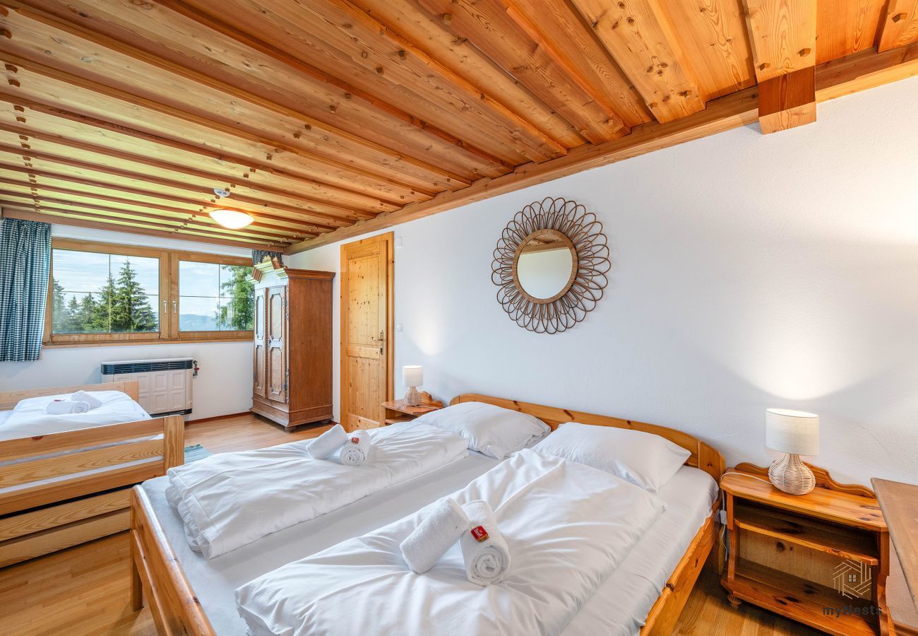 Blockhütte in Schladming - Planai 66 - Bergstube 