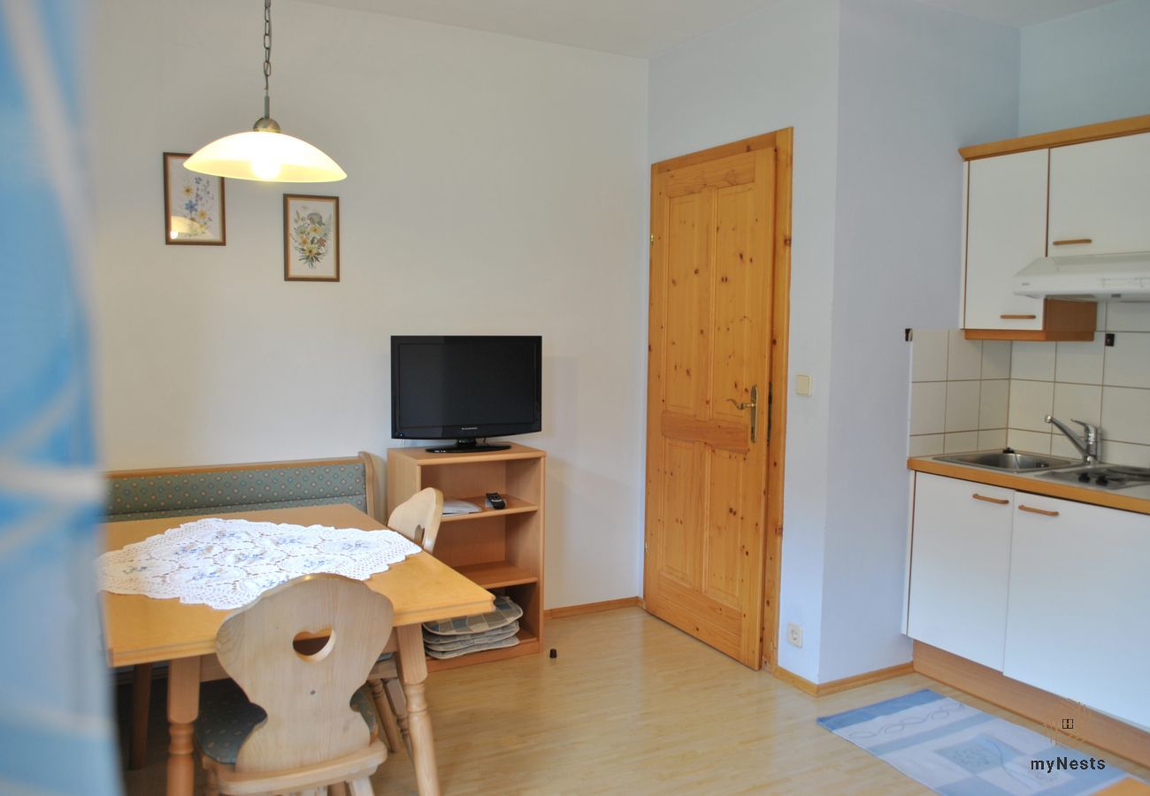Ferienwohnung in Sölktal - Sölkstub'n - Apartment Knallsteinblick