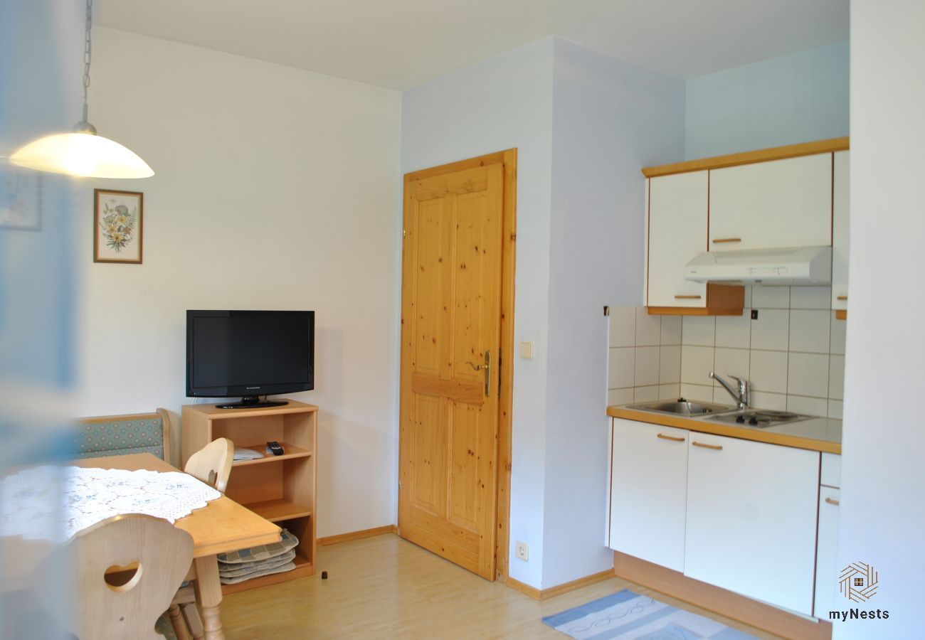 Ferienwohnung in Sölktal - Sölkstub'n - Apartment Knallsteinblick
