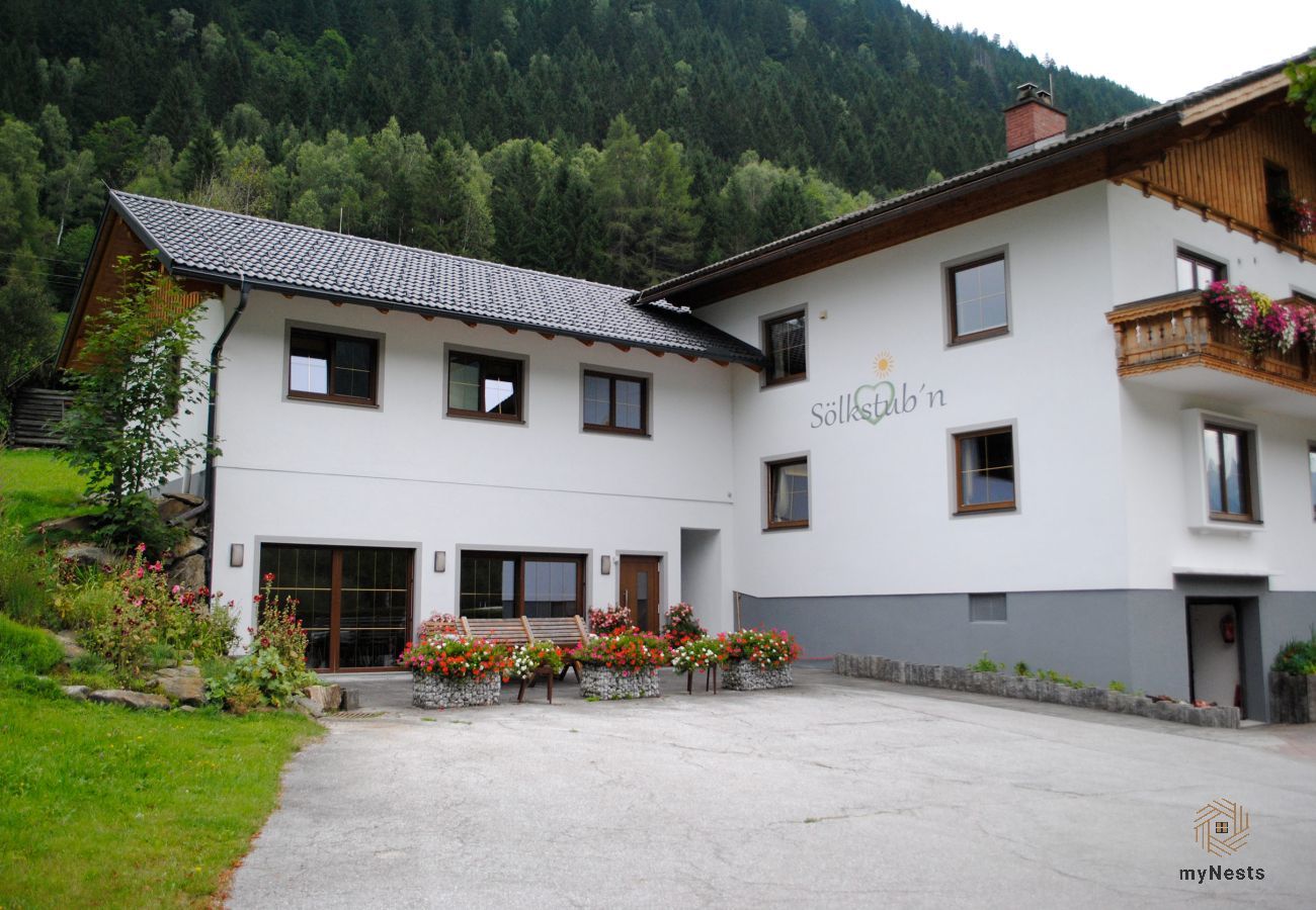 Ferienwohnung in Sölktal - Sölkstub'n - Apartment Sölkpassblick