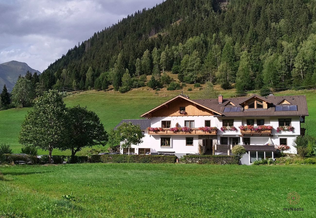 Ferienwohnung in Sölktal - Sölkstub'n - Apartment Sölkpassblick