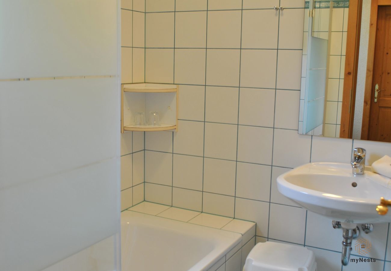 Ferienwohnung in Sölktal - Sölkstub'n - Apartment Sölkpassblick
